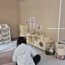 새빛작은도서관 이미지