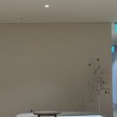 어바인피부과의원 | JAN 2025. 소소한 새해 일상