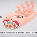 프로 선수가 한다는 손목 푸는 법 이미지