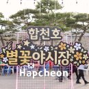 합천양파 | 합천 벚꽃 아래 열리는 축제 합천호 별꽃 야시장 방문 후기