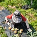 시골축산물 이미지