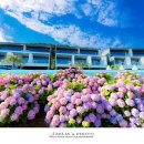 비커밍풀빌라펜션 이미지