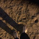 리라아름유치원 이미지