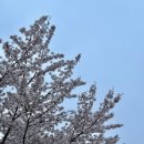 화랑유원지(제1주차장) 이미지