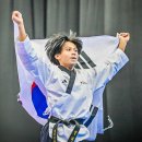 금빛스타태권도 이미지