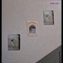 리브온스테이