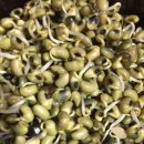 청학민박 이미지