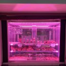 백양축산 이미지