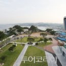 포항과메기 이미지