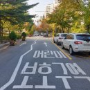 주정차-5 이미지