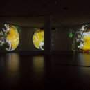 수정수진2-A-20 이미지