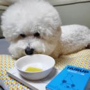 주식회사 국개대표 이미지