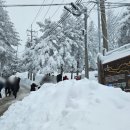 군장목장 이미지