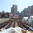 유나네농원 이미지