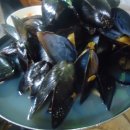 또와마차 이미지