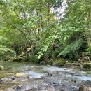 월성계곡 화장실 이미지