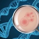 김해의생명산업진흥원 세미나실-3 이미지