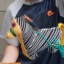 봄봄살롱 이미지