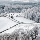 김경환목장 이미지