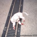 학동주유소 이미지