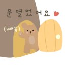 벨(Belle) - 수원시 영통구 | 벨(Belle)