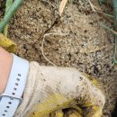 대발농장 이미지