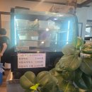 문학손수제비랑찌개랑 | 인천 검단 봄솔보리밥 국물이 끝내주는 구수한 털레기 수제비,솔직 후기!