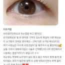 더슈 | [강서구 화곡동 왁싱샵 추천] 더슈가링 리얼 후기 모음 – 위생·실력·분위기 모두 만족!