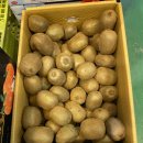 신선청과 이미지