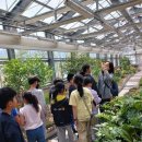 조마초등학교 이미지