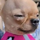 아침에풍경 이미지