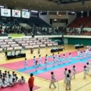 삼성유아태권도 이미지
