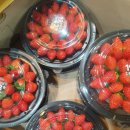 정성야채 이미지