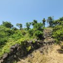 중문동-5 이미지