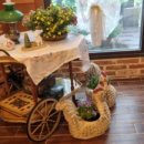 길스오벨쥐 이미지