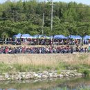 당진3동 이팝나무 이미지