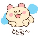 리틀램(little lamb)