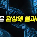 ‘노사(老死)’란? 이미지