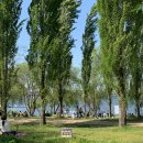 그늘막113 이미지