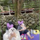 달빛마루 | 전라도 촌캉스 추천ㅣ지리산 남원 애견동반 가능 숙소, 달빛마루 에어비앤비