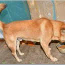 토요일오후 이미지