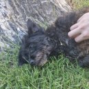 화천13월 이미지