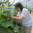 호박골농장 이미지