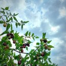 마음편한병원 이미지