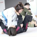 대전 주짓수 [ 대전 신성동 주짓수 동천백산 2월 합동수련 ] 공군대학 대덕연구단지 근처 대전 유성...