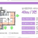 보라조경