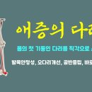 [ 마름모코어 시즌2-45 ] 정강이와 종아리 복사뼈가 서로 반대로 향하면 다리 기둥이 바로 세워져요 / 오다리 개선, 평발 개선 이미지