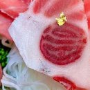 진참치 이미지