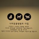 나라동물병원 이미지