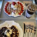 아띠멍멍 이미지